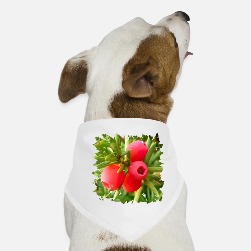The yew is a poisonous native conifer Dog Bandana