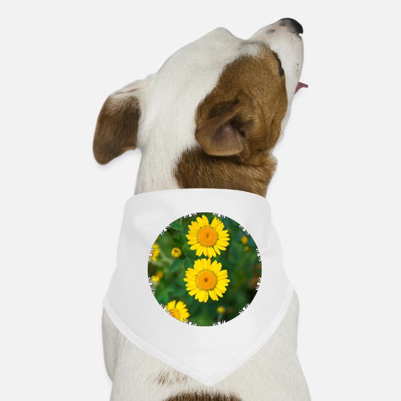 Dyer's chamomile (Anthemis tinctoria) Dog Bandana