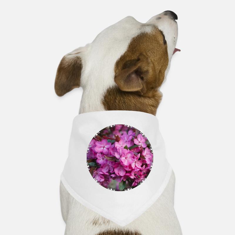 Les fleurs de cerisier rose sont belles à regarder Bandana pour chien