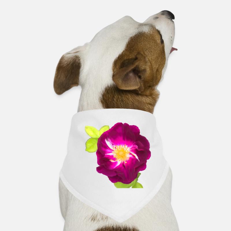 Rose violette - peinture Bandana pour chien