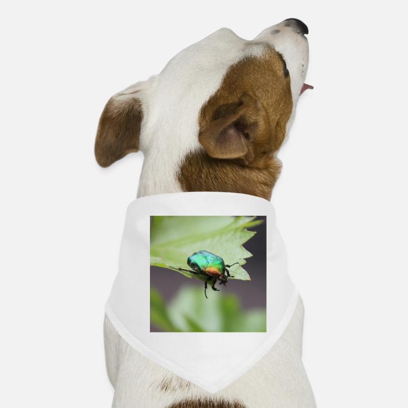 Bandana pour chien