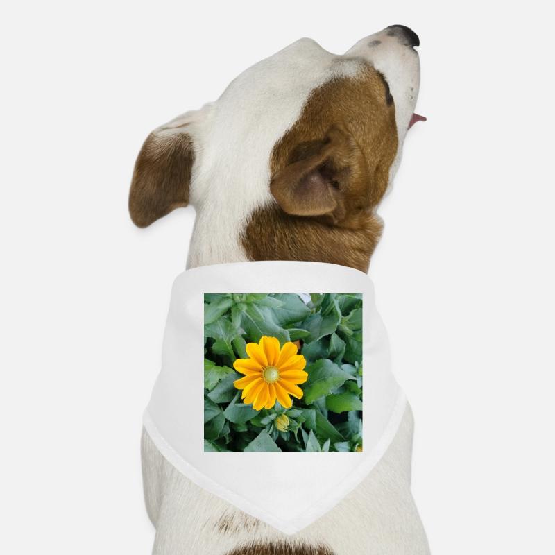 Fleur d’échinacée rugueuse / rayon jaune Bandana pour chien