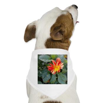Georgine / Grossfiedrige Dahlie - Hunde-Bandana - Weiß - Vorne