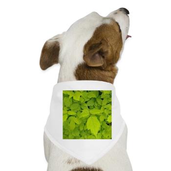 Eschen Ahorn / Acer negundo - Hunde-Bandana - Weiß - Vorne