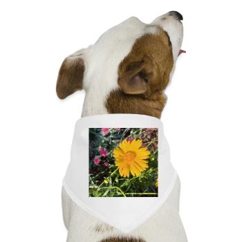 Sonnenstrahl Gelb Blüte / Mädchenauge - Hunde-Bandana - Weiß - Vorne