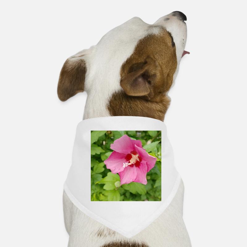 Pink Hibiscus (Shrub Marshmallow) Dog Bandana