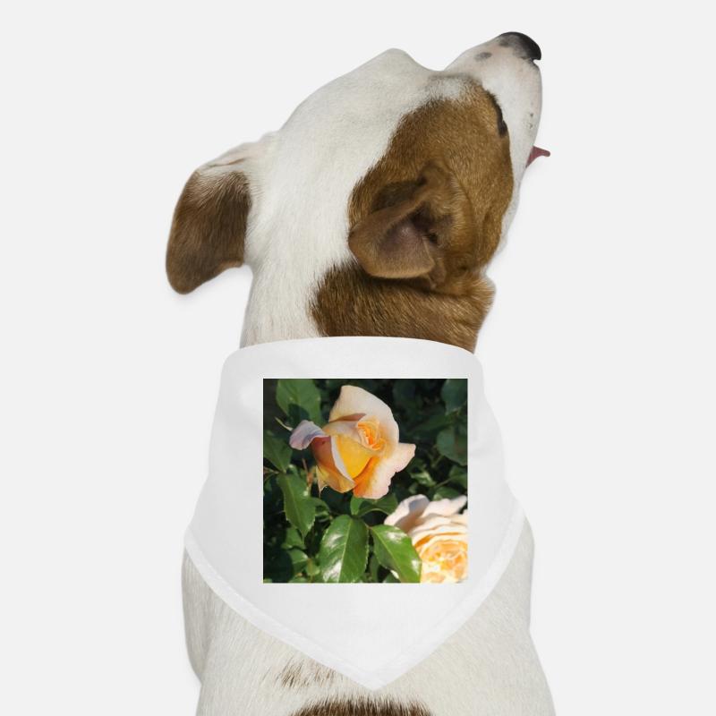 Bouton de rose délicat Bandana pour chien