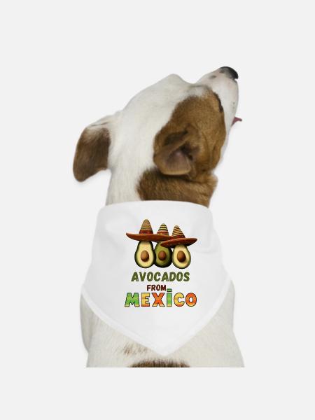Avocat au Mexique - Bandana pour chien - blanc - Devant