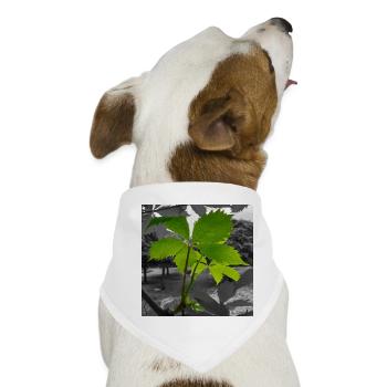 Grünes Blatt im Graustufen-Kontrast - Hunde-Bandana - Weiß - Vorne