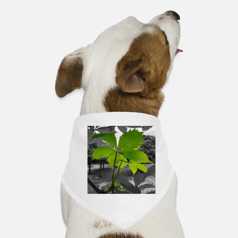 Green leaf in grayscale contrast Dog Bandana