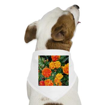 Blühender Garten – Farbenfrohe Stimmung - Hunde-Bandana - Weiß - Vorne