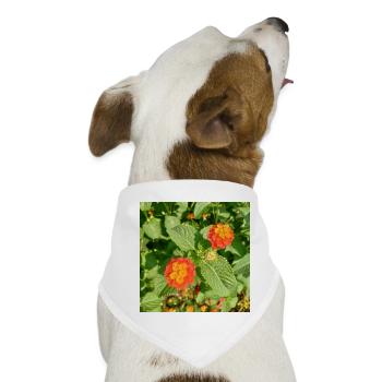 Blühender Garten – Farbenfrohe Stimmung - Hunde-Bandana - Weiß - Vorne