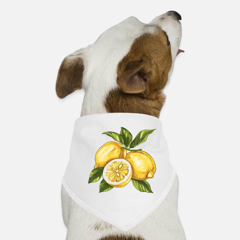 Zitronen Lemon Hunde-Bandana