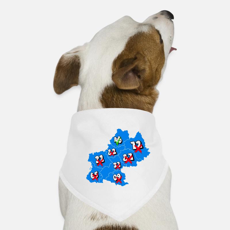 Midi-Pyrénées Region Dog Bandana
