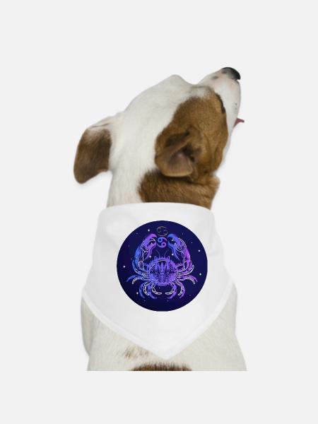 Créativité étoilée du cancer - Bandana pour chien - blanc - Devant