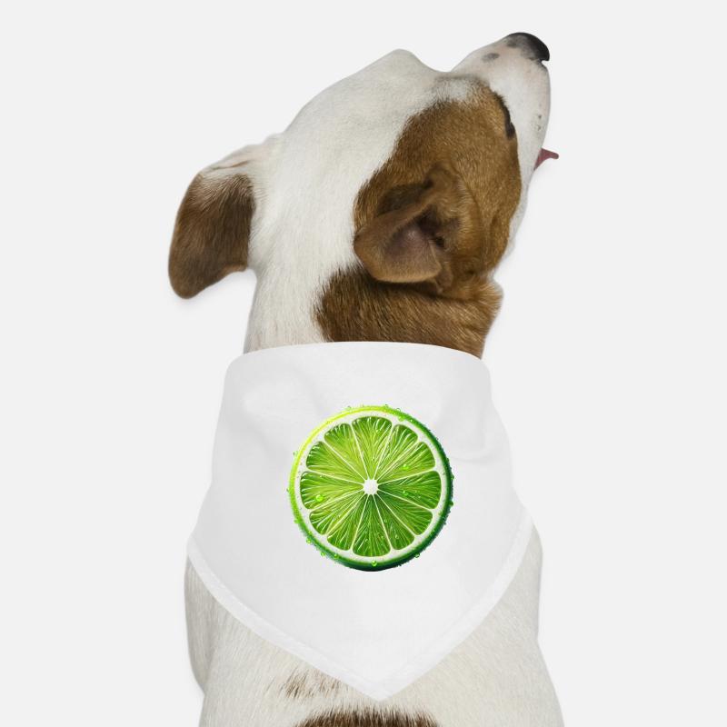 Limette Hunde-Bandana