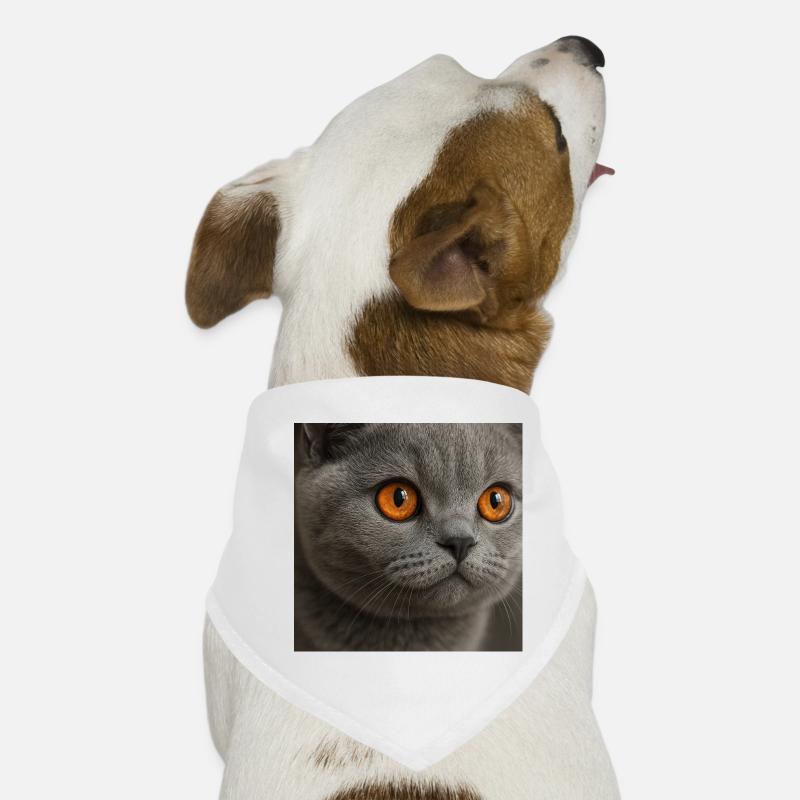 Conception détaillée de l’œil de chat Bandana pour chien