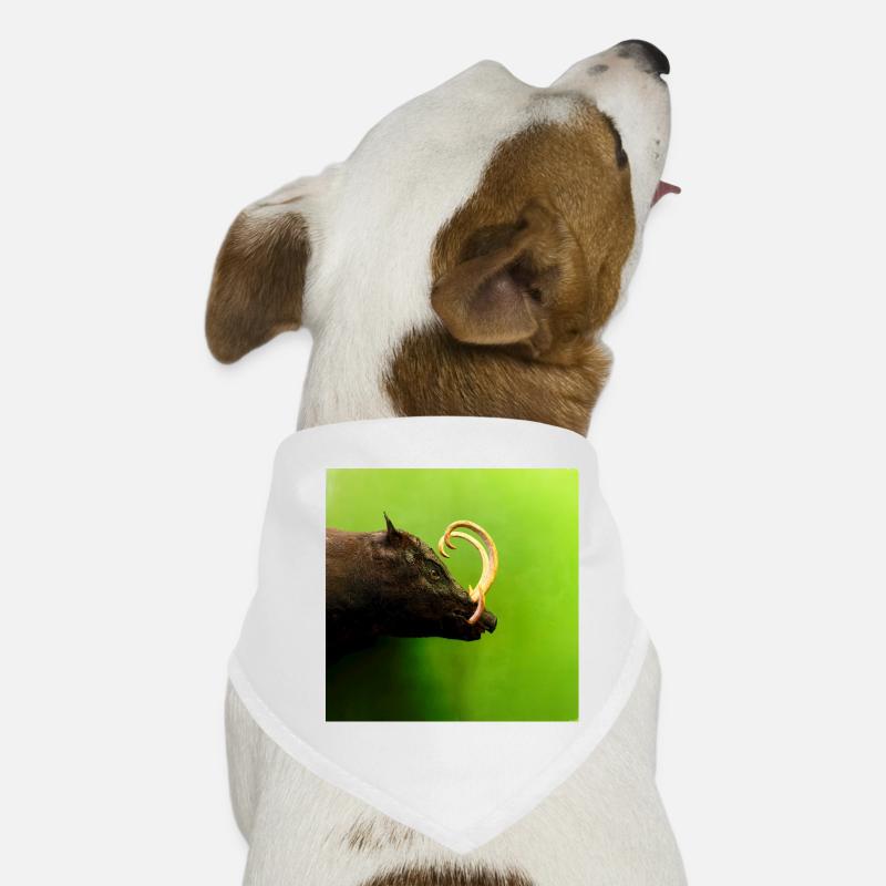 Sanglier Bandana pour chien