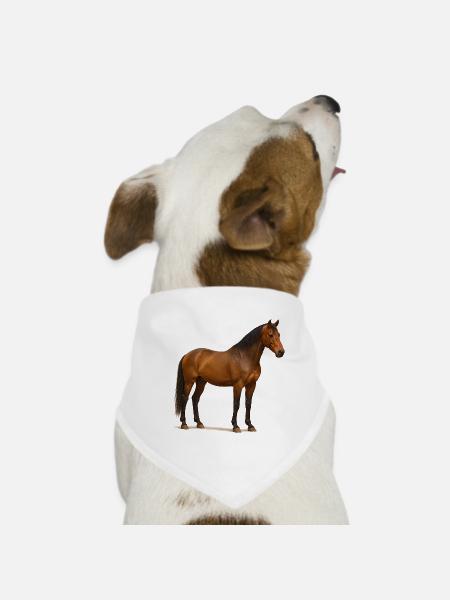 Reddish Brown Stallion in Sun Shimmer - Dog Bandana - white - Front