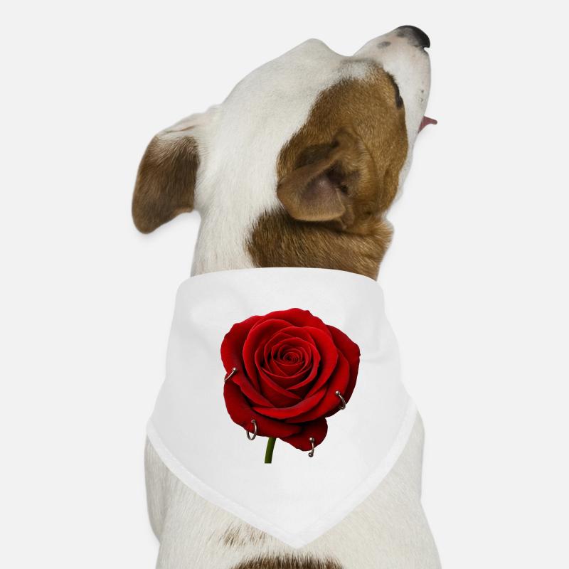 Rote Rose mit Piercings Hunde-Bandana