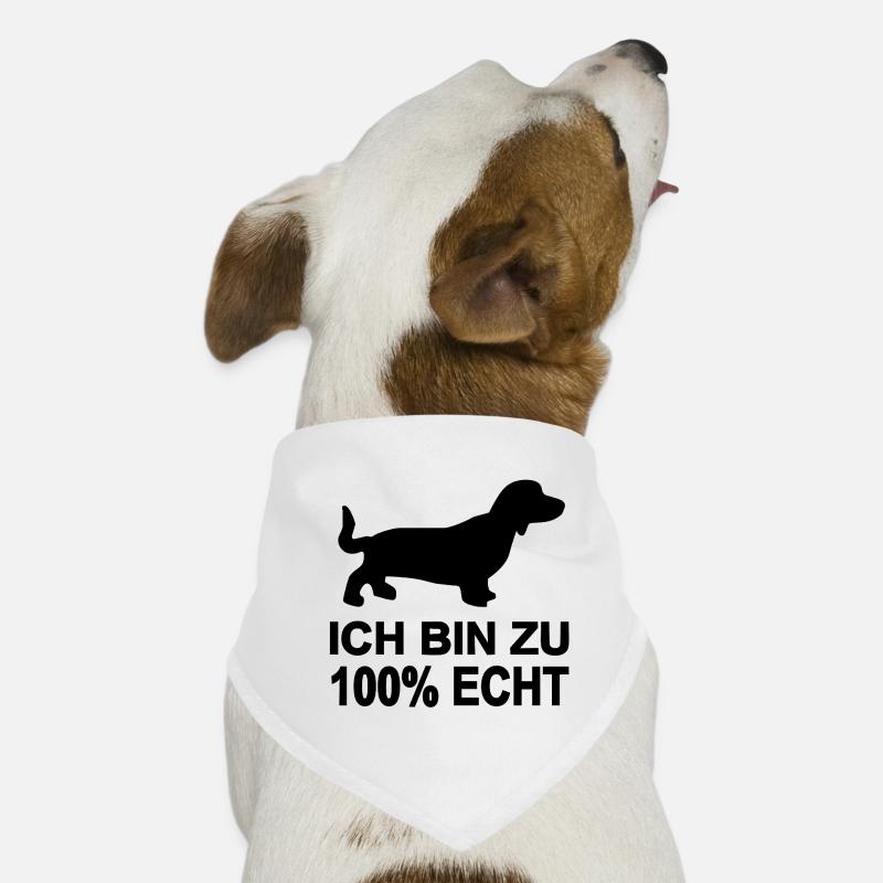 Dackel Hunde-Bandana