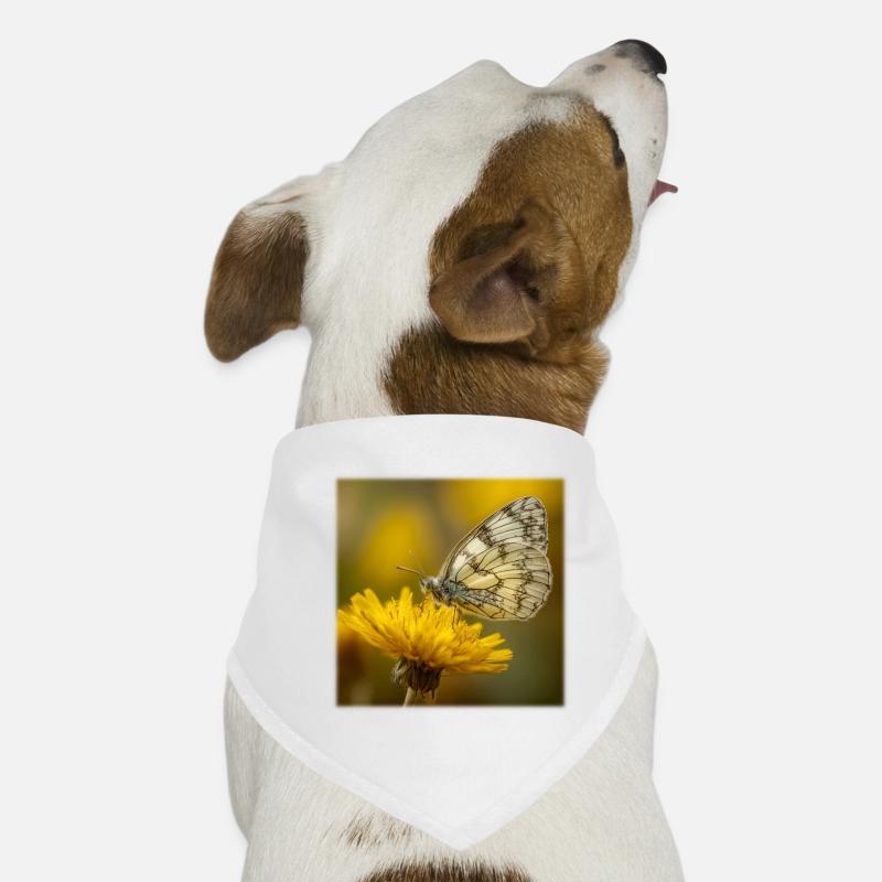 Papillon blanc sur fleur jaune Bandana pour chien