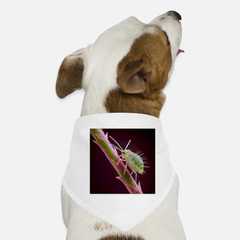 Green Aphid Macro – Exotic Insect Design Dog Bandana