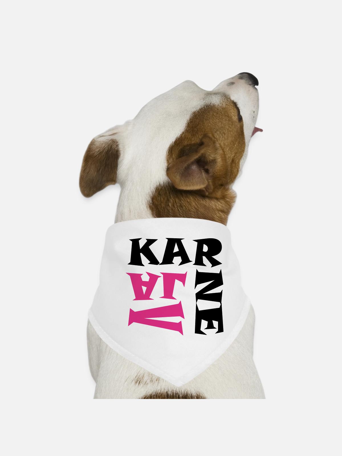 Karneval in Pink/Schwarz - Hunde-Bandana - Weiß - Vorne