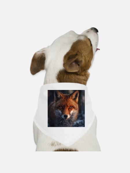 Fuchs-Erkundung bei Einbruch der Dämmerung - Hunde-Bandana - Weiß - Vorne