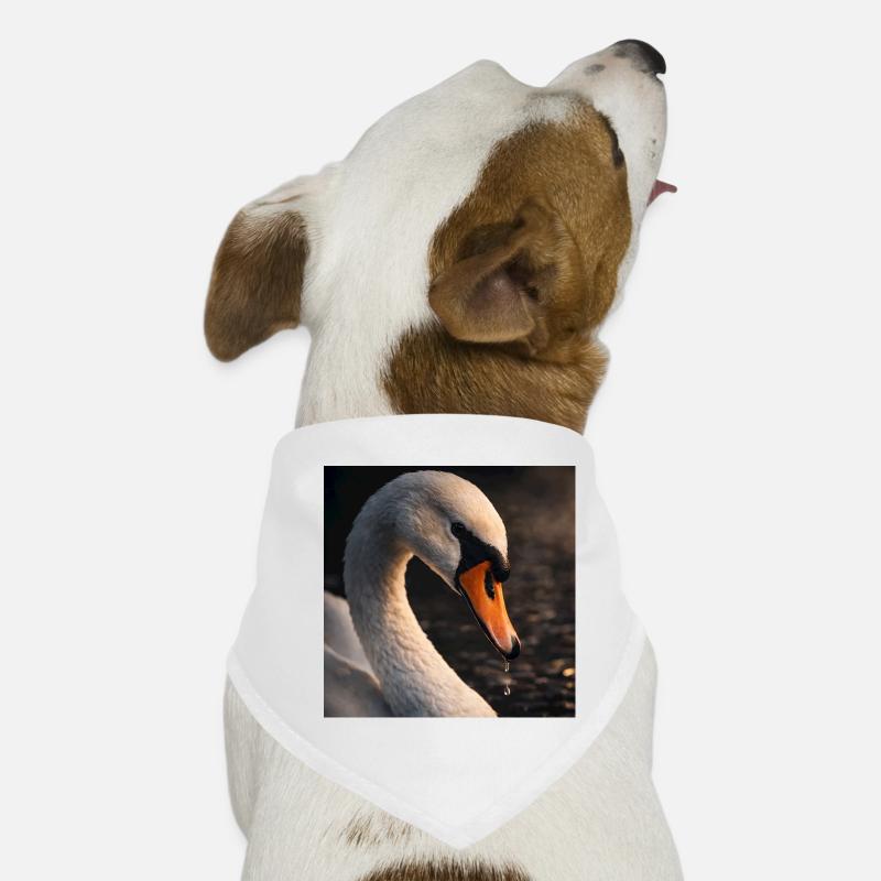 La beauté du cygne au crépuscule Bandana pour chien