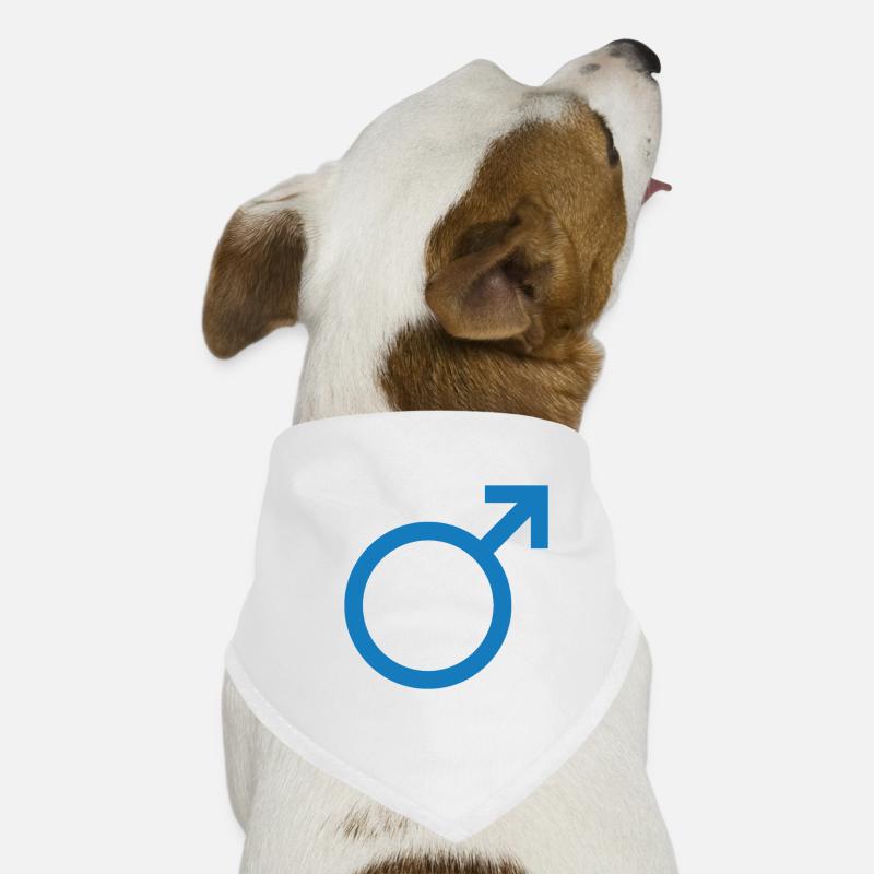 Männliches Geschlecht Hunde-Bandana