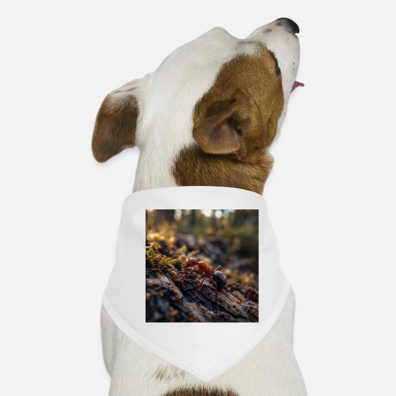 Fourmi rouge sur le bois sous la mousse Bandana pour chien