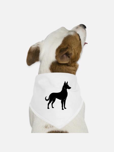 Berger Picard - Hunde-Bandana - Weiß - Vorne