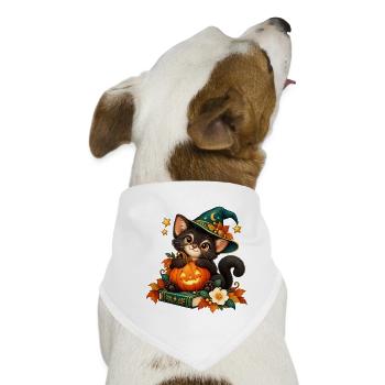 Halloween-Katze mit verzaubertem Kürbis - Hunde-Bandana - Weiß - Vorne