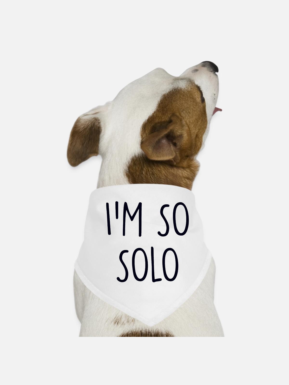 Solo - Dog Bandana - white - Front