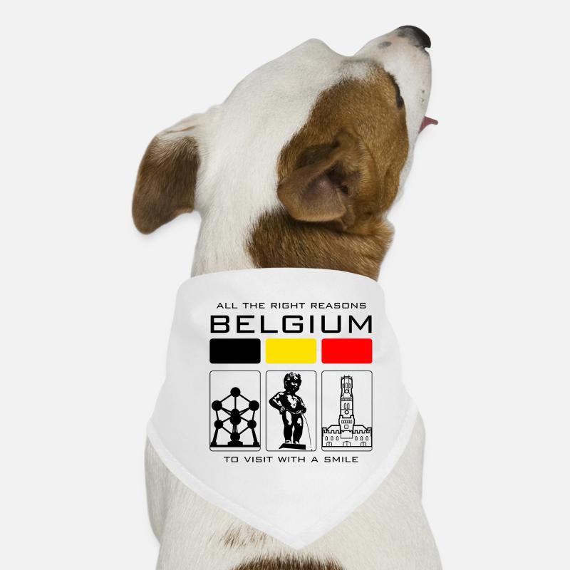 Bunte Blöcke und Bogen - Hunde-Bandana - Weiß