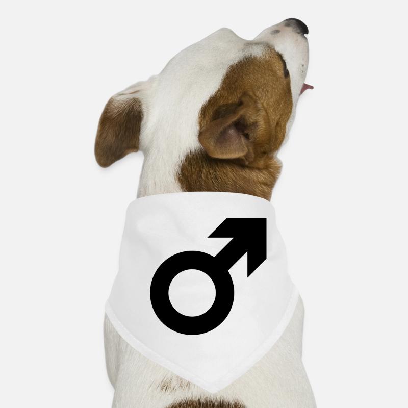 Männlich Geschlecht Hunde-Bandana