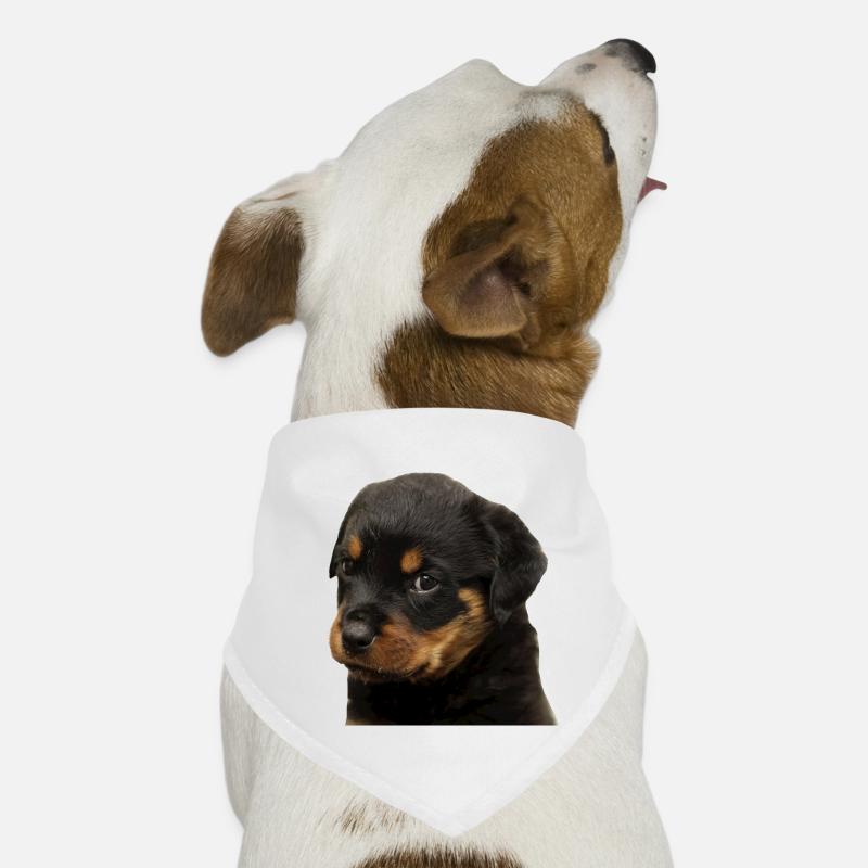 Mignon rottweiler chiot avec de grands yeux Bandana pour chien