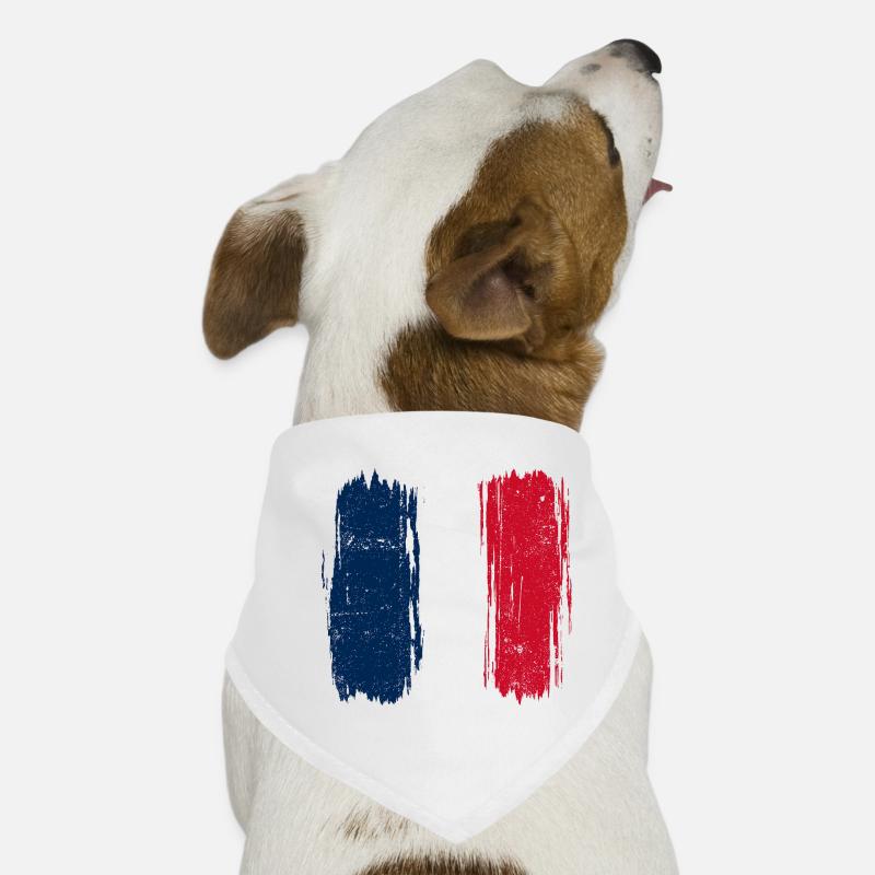 Coup de pinceau Drapeau français - Bandana pour chien - blanc