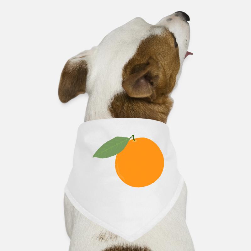 fruit fruits orange idée cadeau Bandana pour chien