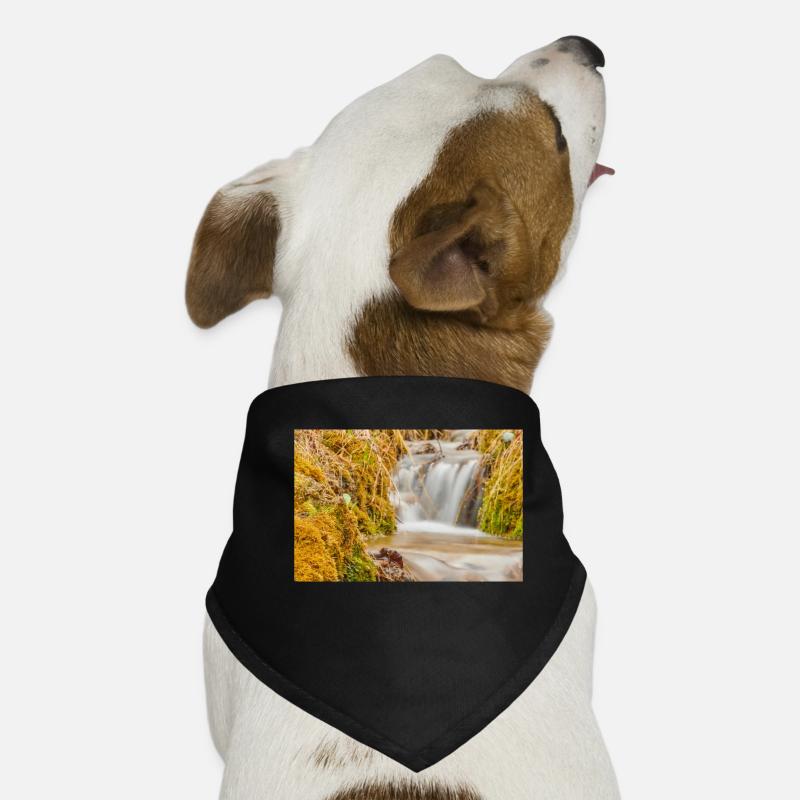 Parler de l'eau 1 Bandana pour chien