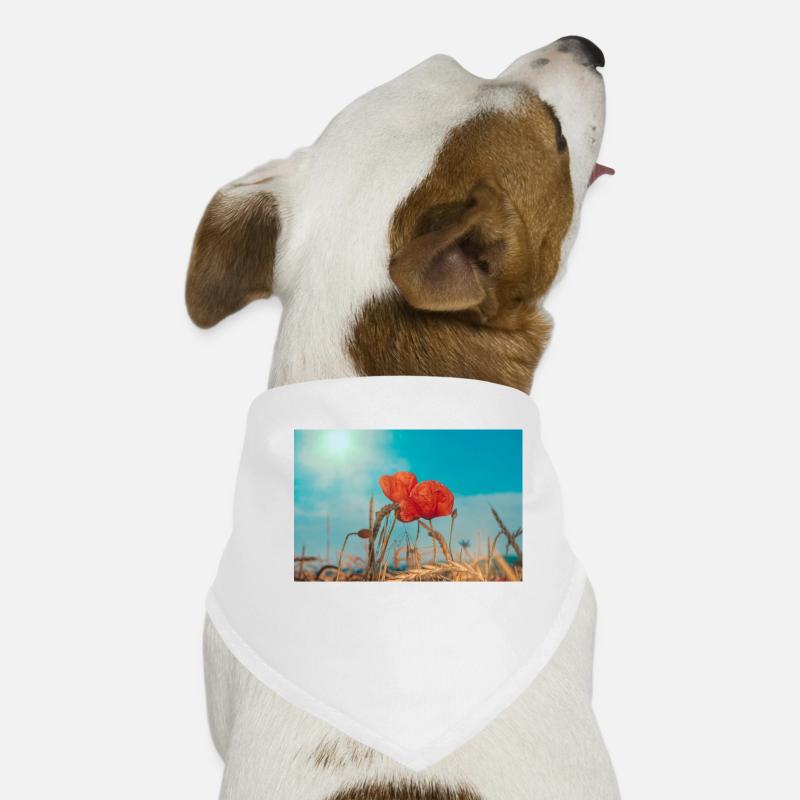 Coquelicots - Bandana pour chien - blanc