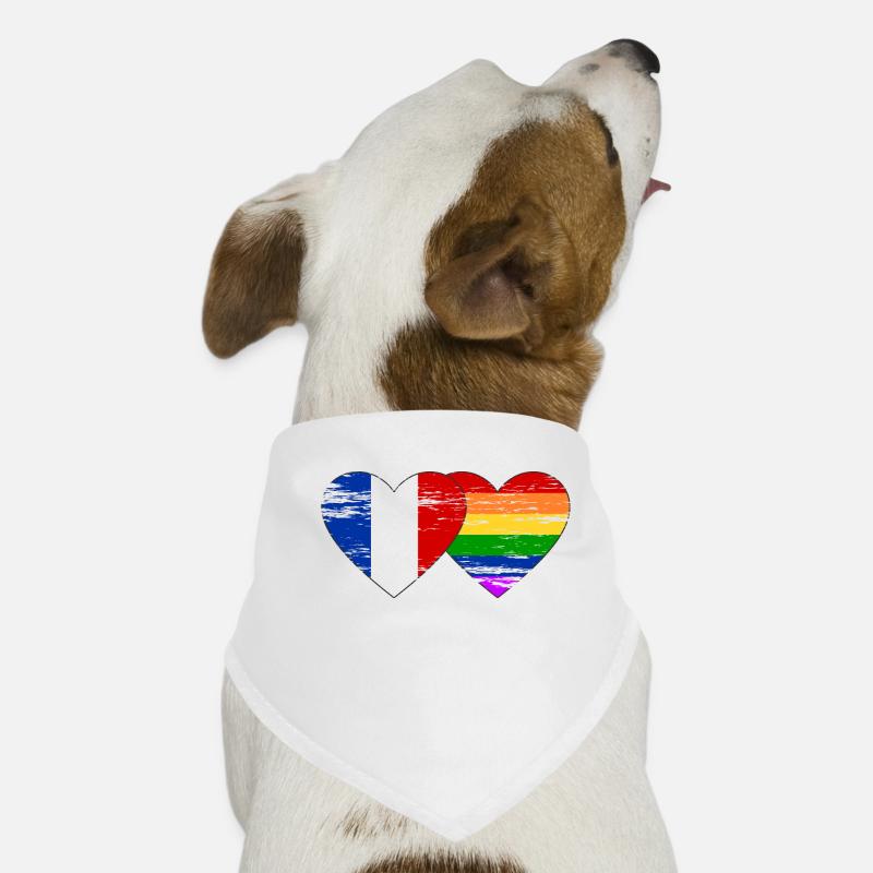 France rainbow flag used Dog Bandana