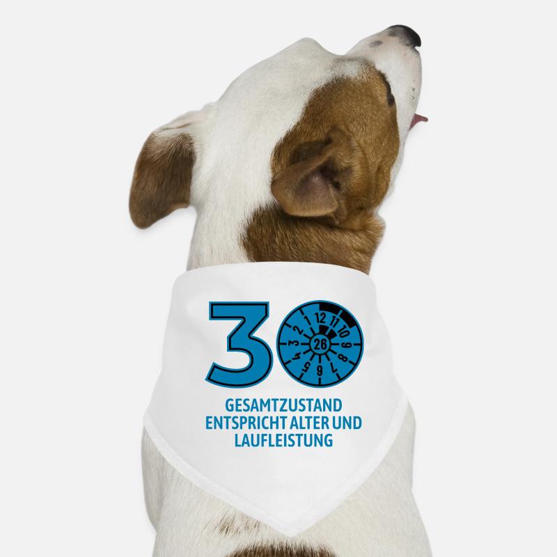 HU janvier 2026 - 30 ans - cadeau d’anniversaire Bandana pour chien