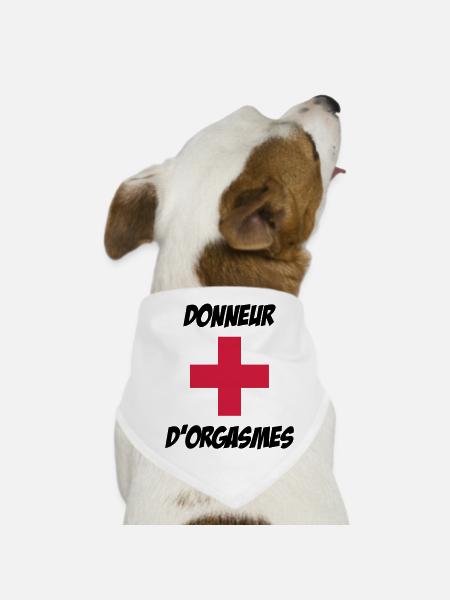 Donneur d'orgasmes ! - Bandana pour chien - blanc - Devant