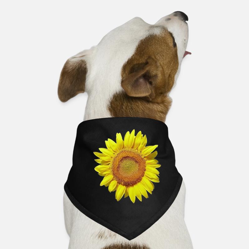 Sonnenblume Hunde-Bandana