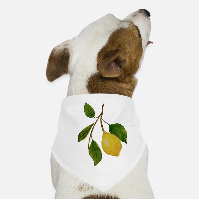 Lemon sprig Dog Bandana