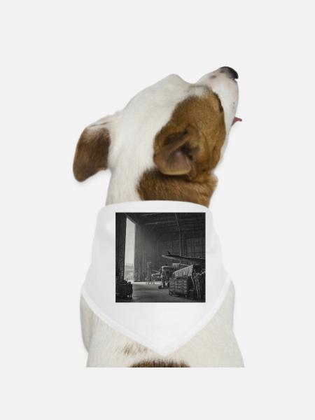 Raven dans l’avion Lieu perdu Crime animal vintage - Bandana pour chien - blanc - Devant