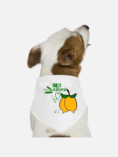 Zitronen - Hunde-Bandana - Weiß - Vorne