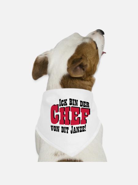 Chef von dit janze - Hunde-Bandana - Weiß - Vorne